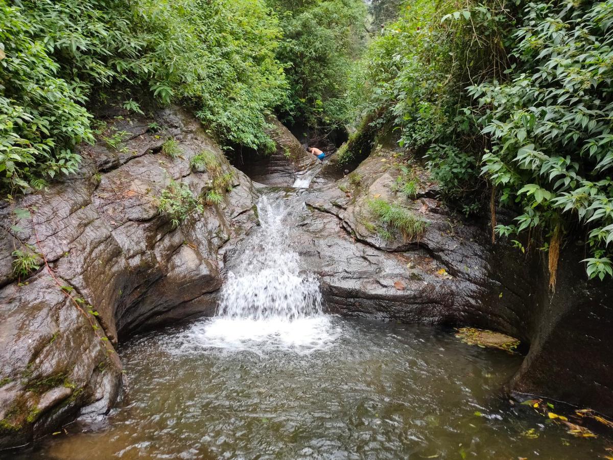 Villoonnickal Homestay Munnar Luaran gambar